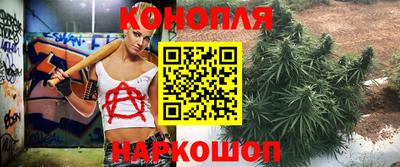 молекула духа Каменск-Шахтинский