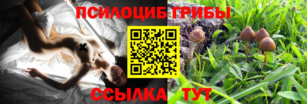 Чусовой  Галлюциногенные грибы мицелий  купить   Вход с VPN 